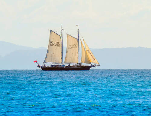 Sunshine Coast Sailing